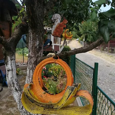 Apartment Mala Kelja